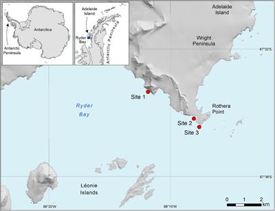 The Extremes of Disturbance Reduce Functional Redundancy: Functional Trait Assessment of the Shallow Antarctic Benthos